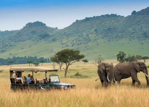 Maasai Mara