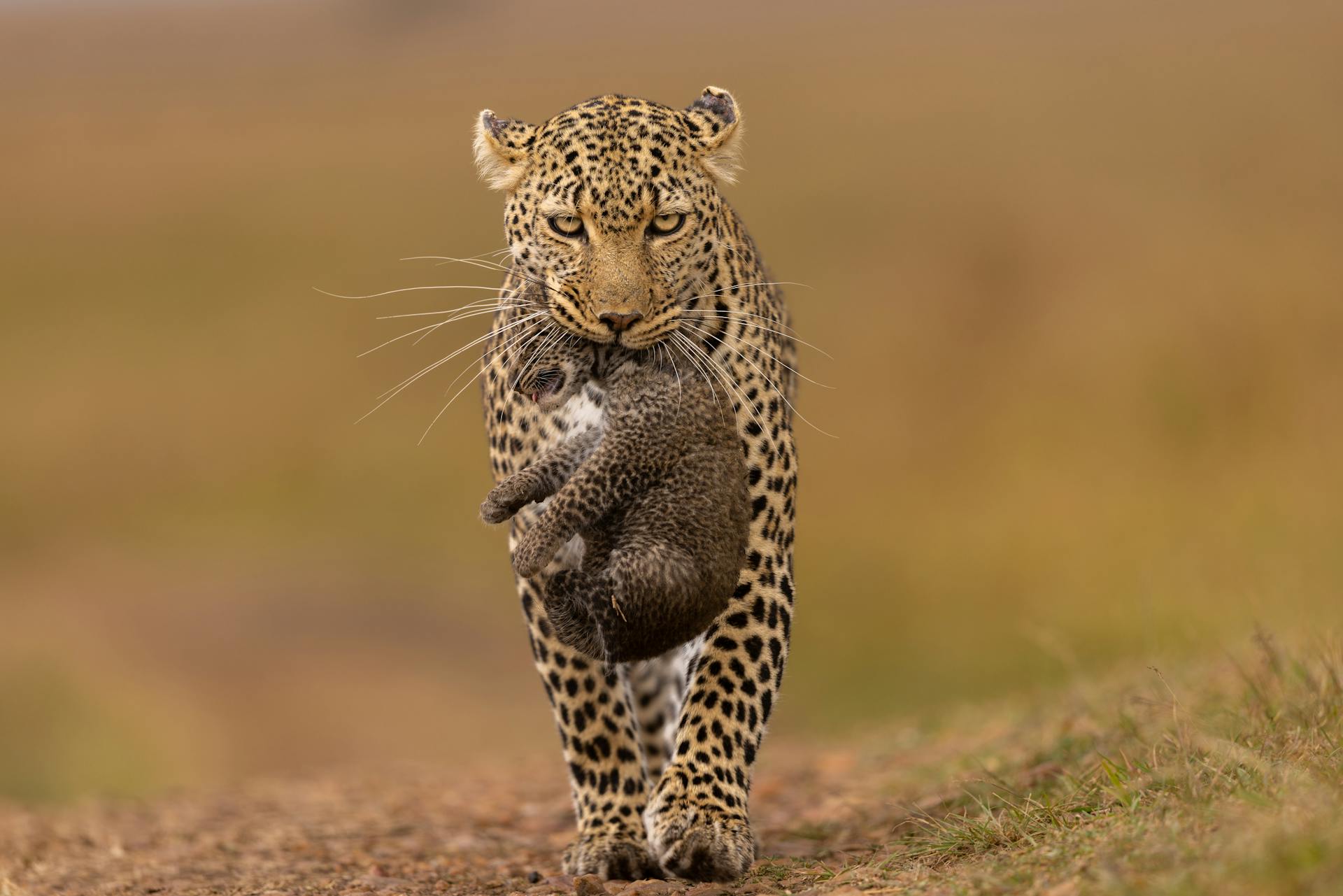 Kenya