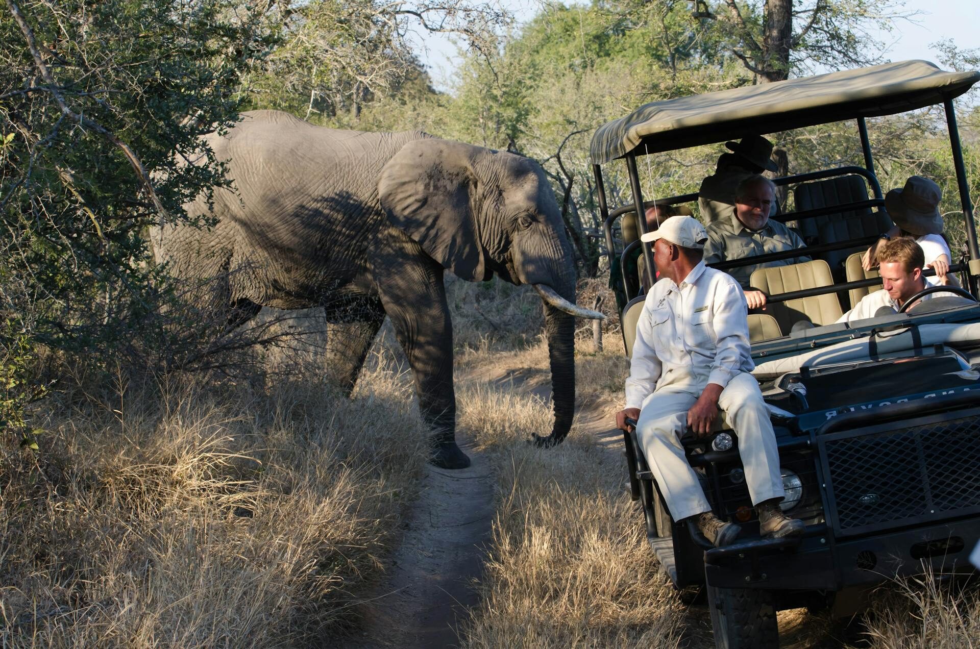 Zimbabwe Safaris