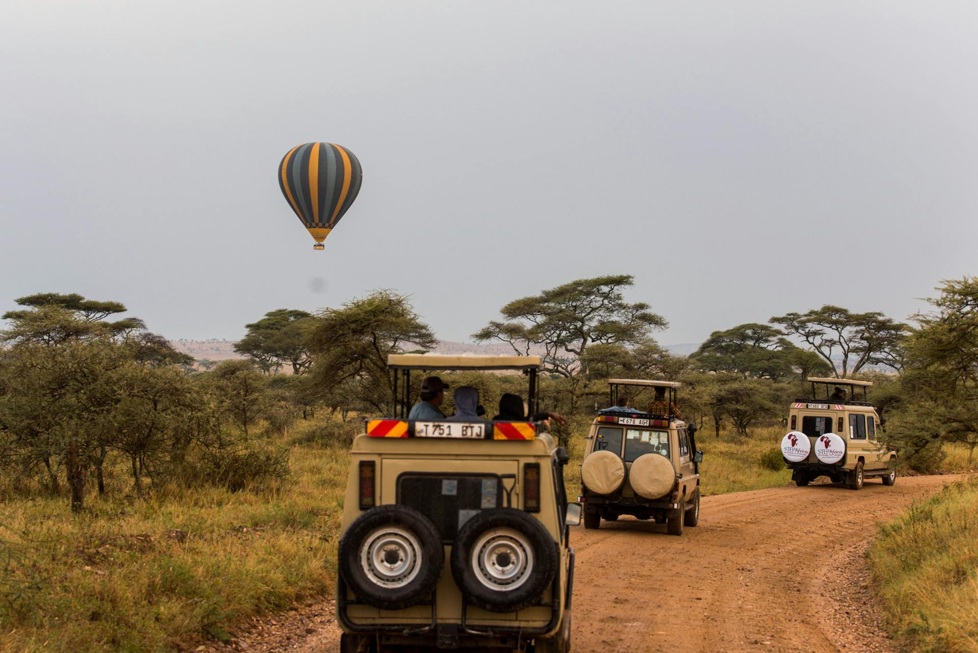 Tanzania Safaris
