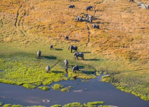 Fly-in Uganda Luxury Safari – 8 Days / 7 Nights