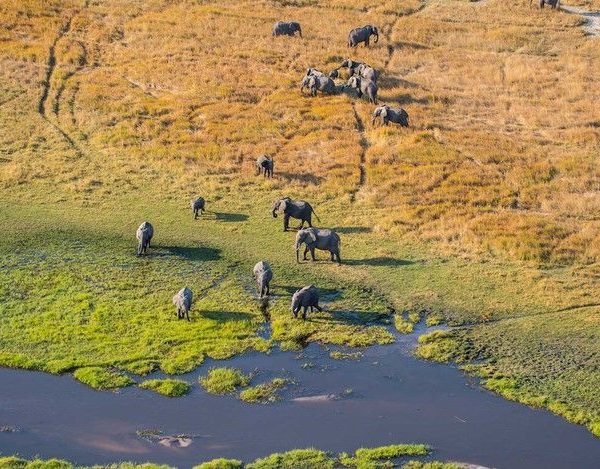 Fly-in Uganda Luxury Safari – 8 Days / 7 Nights