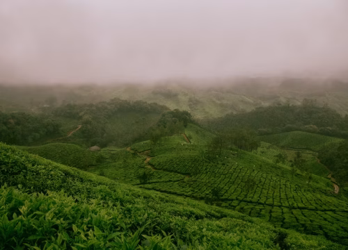 Western Uganda Explorer Safari – 8 Days / 7 Nights